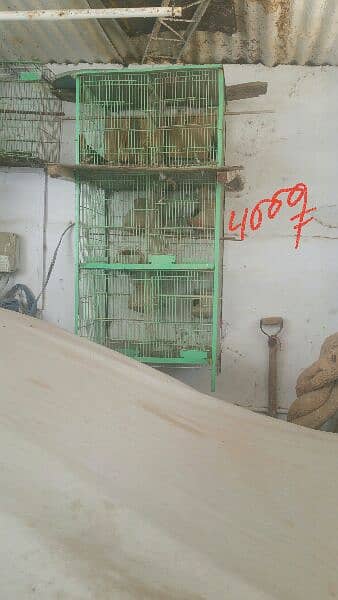 All the cages are in very good condition giving them at  low price . 4