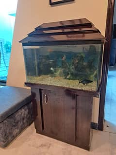 Aquarium for sale