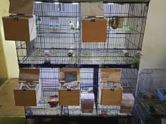 cage folding 8 portion finches gouldian ( read add carefully ) pinjra