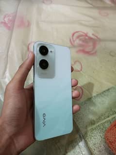 vivo