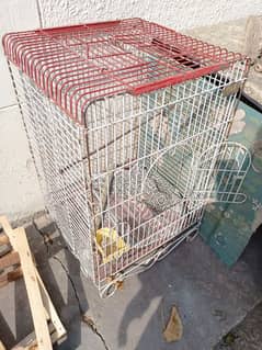 Parrot cage