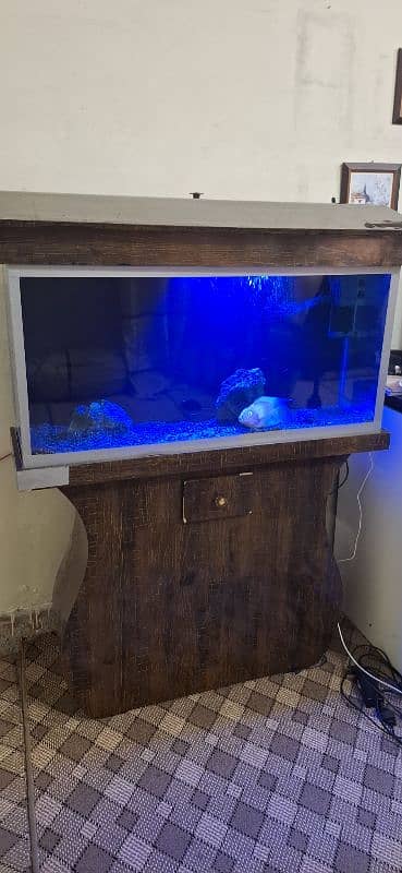 Complete Aquarium setup 3 feet 8mm glass 5