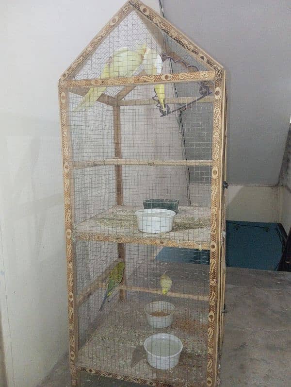 brids cage 3