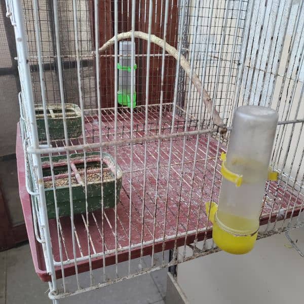 Budgies cage 24x18x14 1