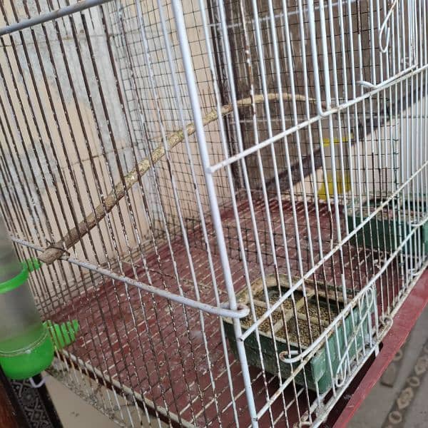 Budgies cage 24x18x14 3