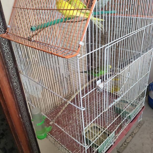 Budgies cage 24x18x14 10