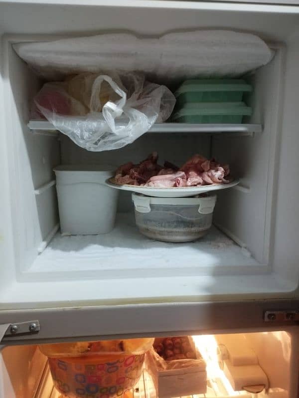 fridge 1