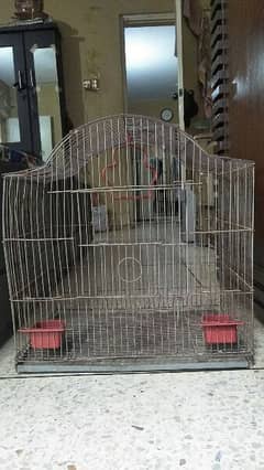 Parrots and hen cage