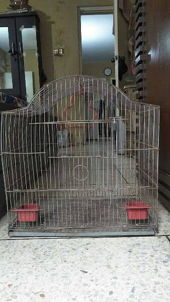 Parrots and hen cage 1