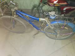 Cycle Blue colour