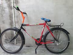 Phoenix Gear Bicycle 0