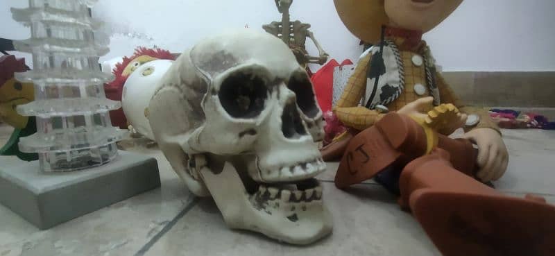 Decoration Items 11
