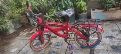 Super Shaino Sport Cycle