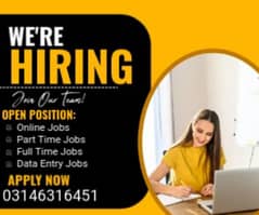 Online Part time/full time/home job/Assignments/Typing/Data entry/Ads