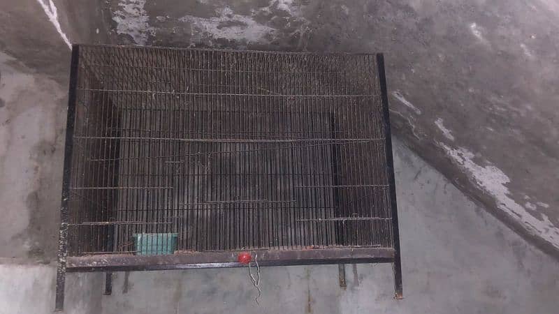 cage height 2', length 3'feet . WhatsApp number 03269487335. 1