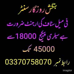 bangash rozgar, 0,3,,3,7,0,7,5,8,0,7,0, call