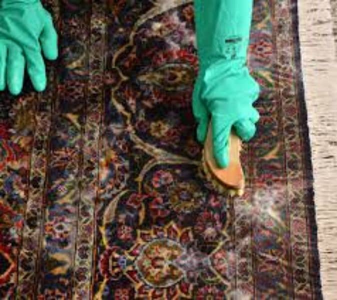 carpet & rug cleaning services 2