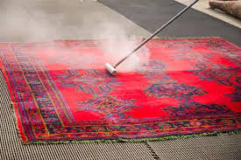 carpet & rug cleaning services 6