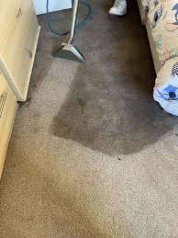 carpet & rug cleaning services 13