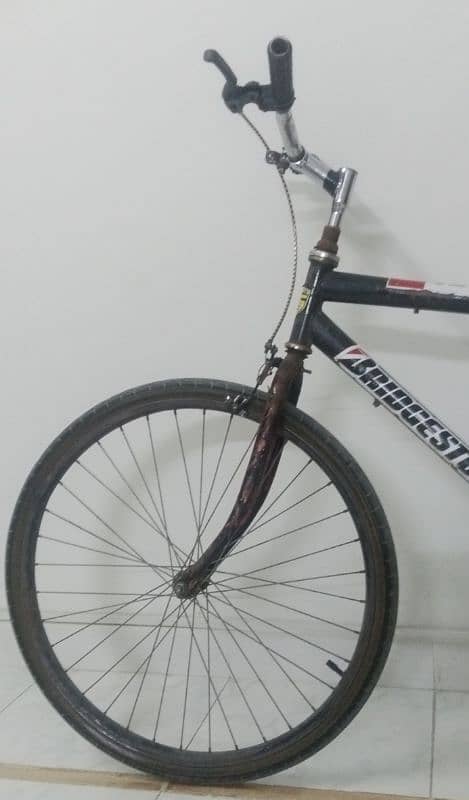 SIMPLE BICYCLE IN USED 2