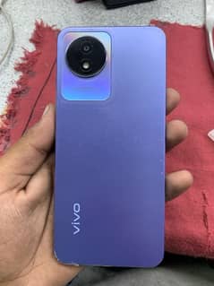 vivo