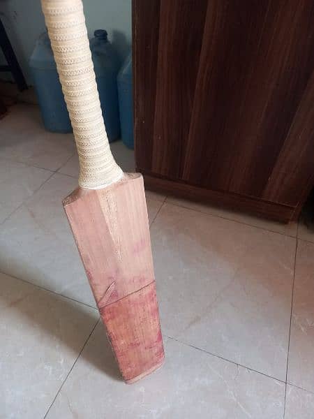 used english willow bat 2