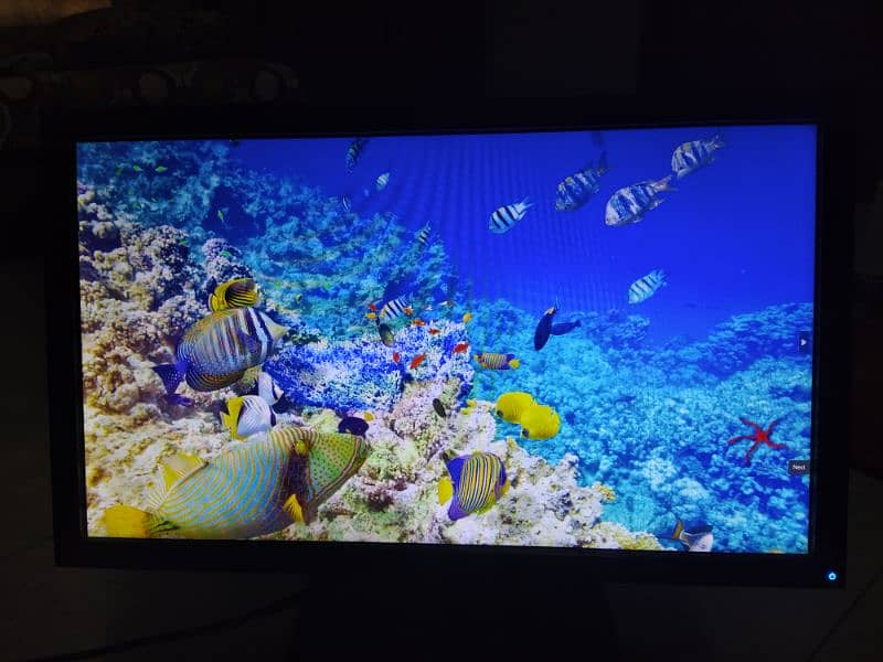 Dell p2011ht monitor 2