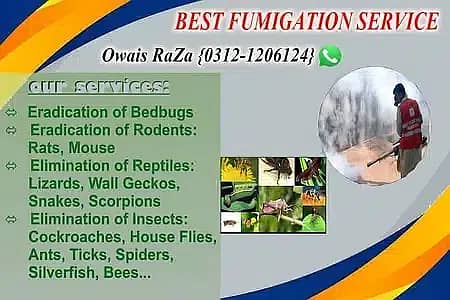 Pest Control services Termite spray General fumigation Demak Control 4