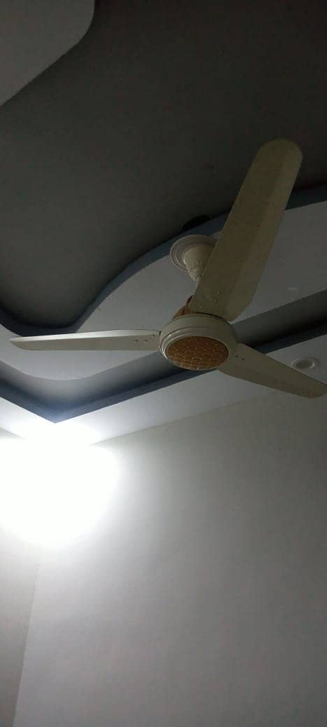 3 Fans for Sell 3