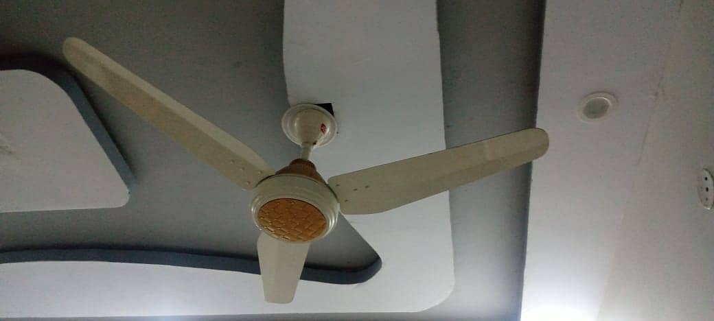 3 Fans for Sell 4