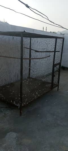 pigeon cage for sale