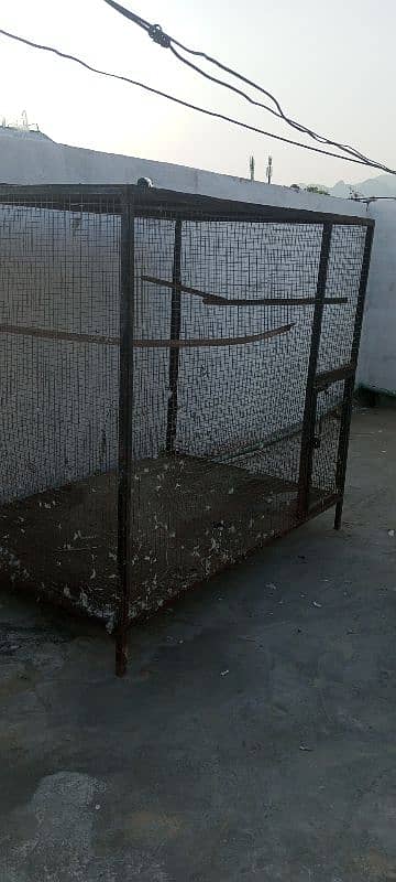 pigeon cage for sale 0