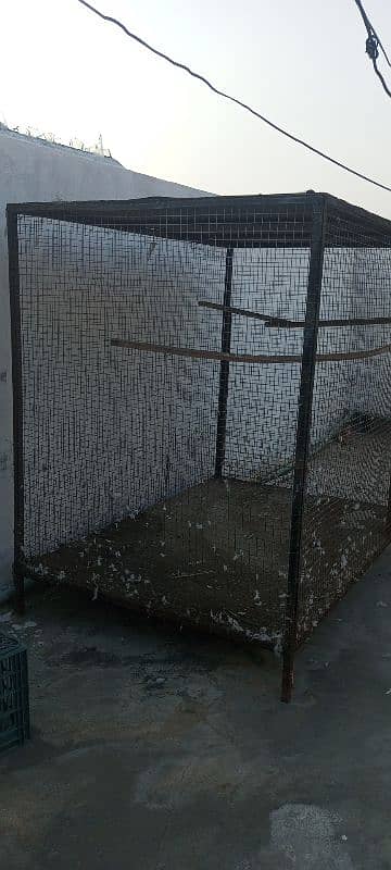 pigeon cage for sale 1