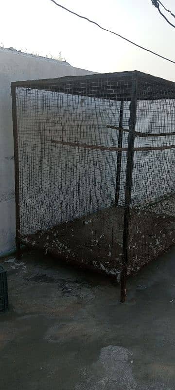 pigeon cage for sale 2