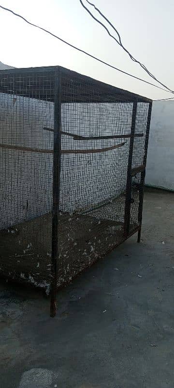 pigeon cage for sale 3