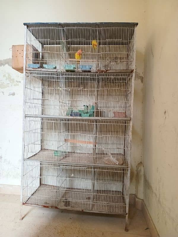 12 portion birds cage 0