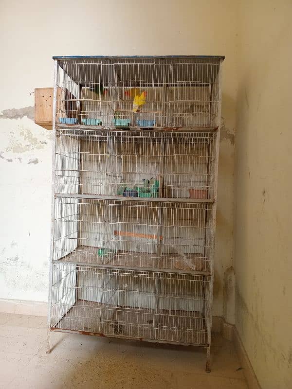 12 portion birds cage 1