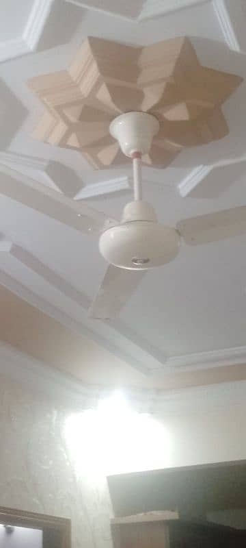 pak fan Ac Ceiling fan 99.99 % Cooper 1