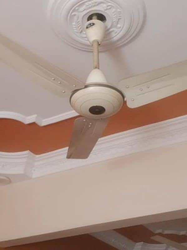 pak fan Ac Ceiling fan 99.99 % Cooper 2