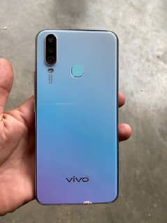 Vivo