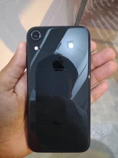 iPhone XR (0317 5283560) 0