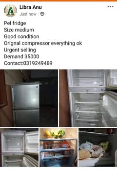 pel medium fridge