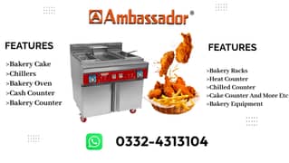 Deep Fryer / Fryer / Automatic Fryer / Gas Fryer / Electric Fryer