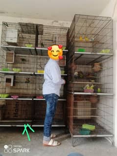 4 portion love bird cage