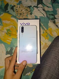 vivo