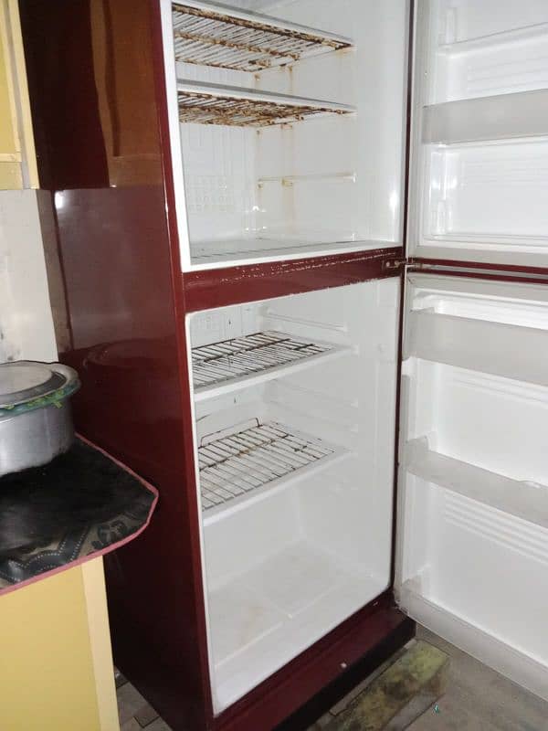 pel larg size fridge 1