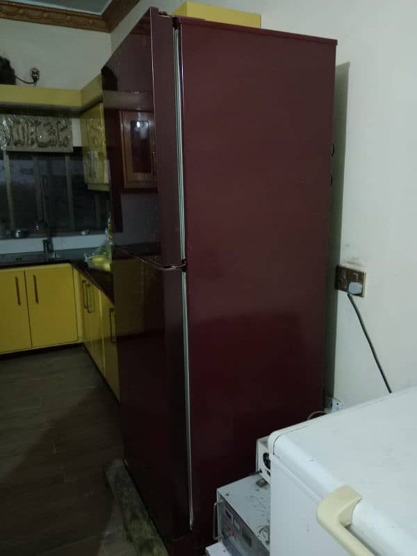 pel larg size fridge 2