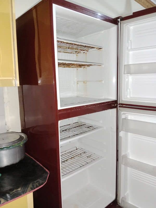 pel larg size fridge 5