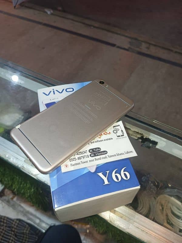 VIVO Y66 PTA APPROVED 1