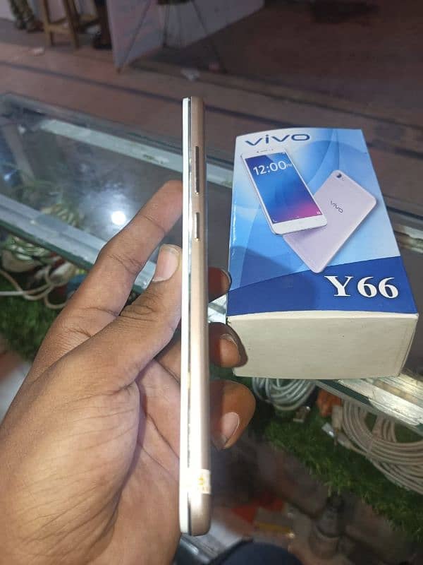 VIVO Y66 PTA APPROVED 2